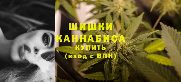 не бодяженный Чегем