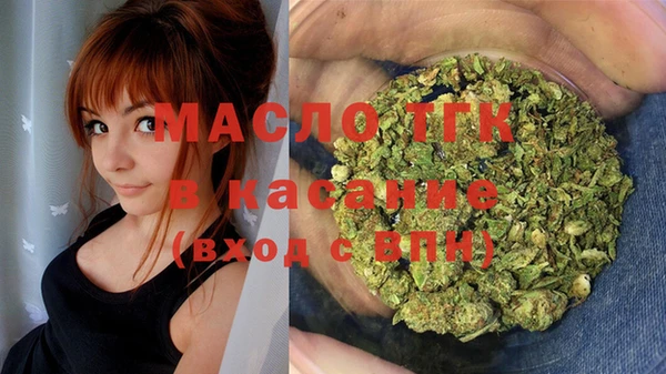 гашик Чекалин