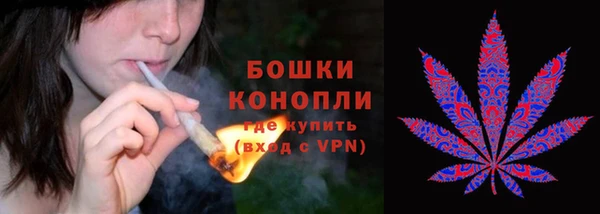 не бодяженный Чегем