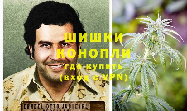 гашик Чекалин