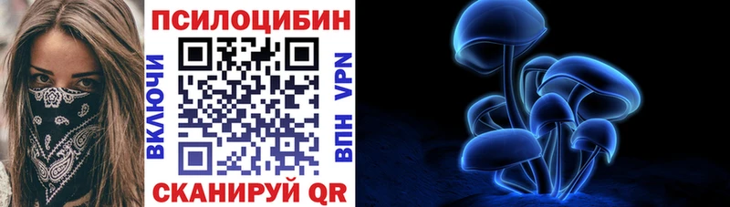 blacksprut онион  Абинск  площадка состав  Псилоцибиновые грибы мицелий 