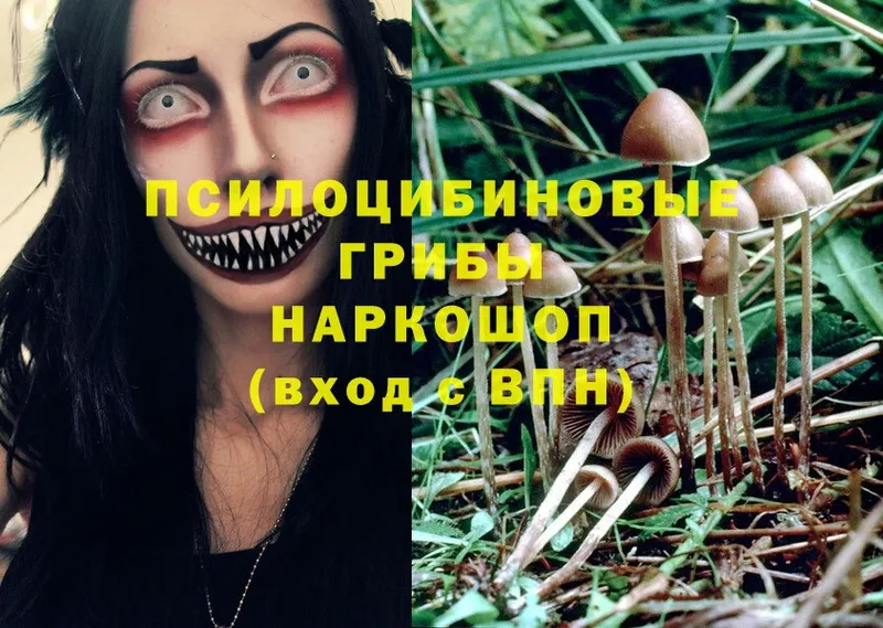 Галлюциногенные грибы ЛСД  hydra ONION  Абинск  сайты даркнета формула  где можно купить  