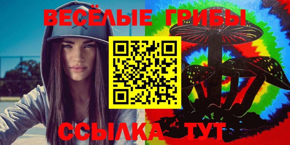 Псилоцибиновые грибы мицелий Абинск