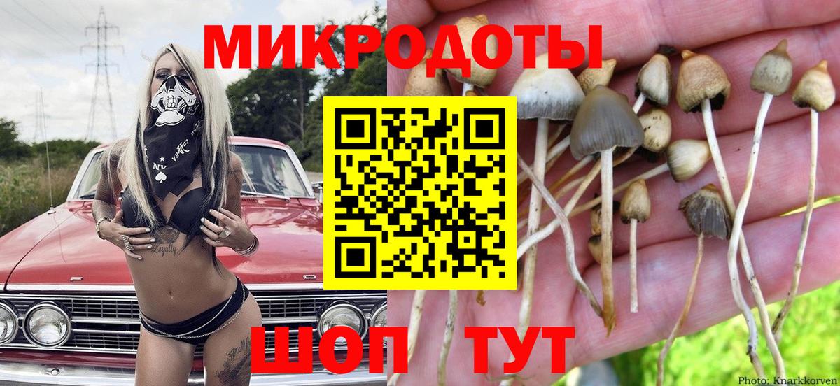 Галлюциногенные грибы Cubensis  Вход с VPN  что такое наркотик  Абинск 