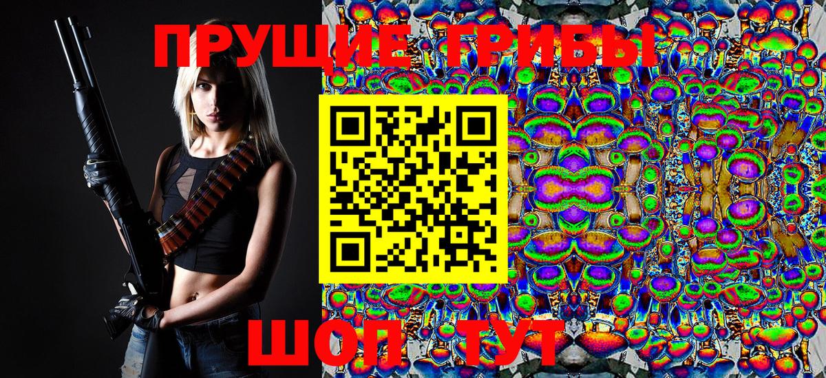 Галлюциногенные грибы Psilocybine cubensis Абинск